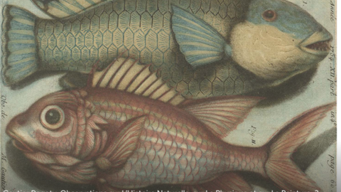 Houghton Library, Logo Exhibit
