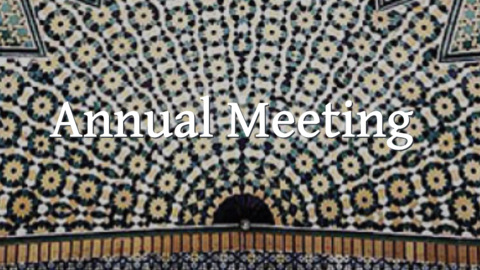 MESA Annual Meeting, Logo