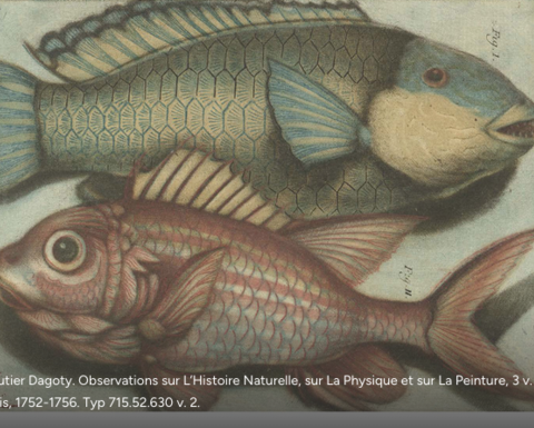 Houghton Library, Logo Exhibit